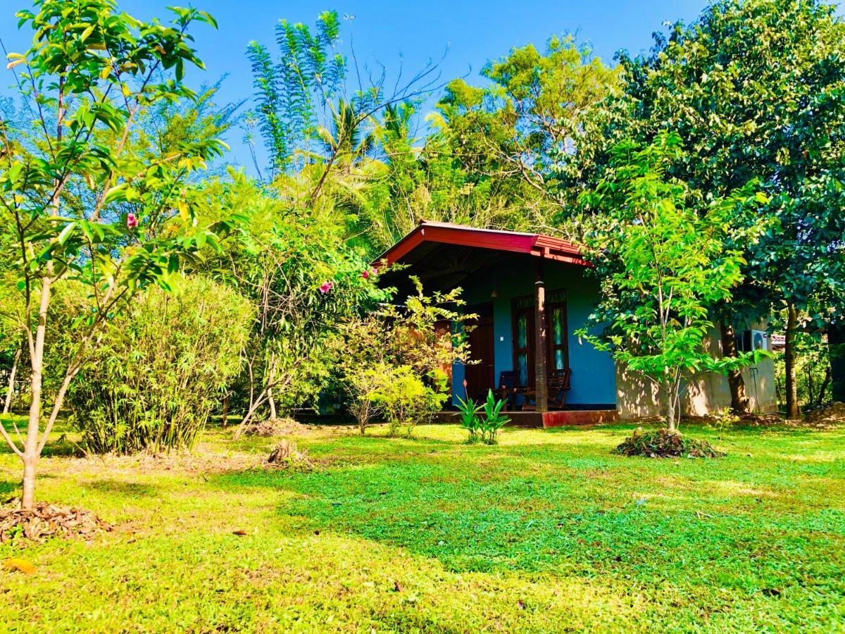 Sungreen Cottage Sigiriya Exterior photo